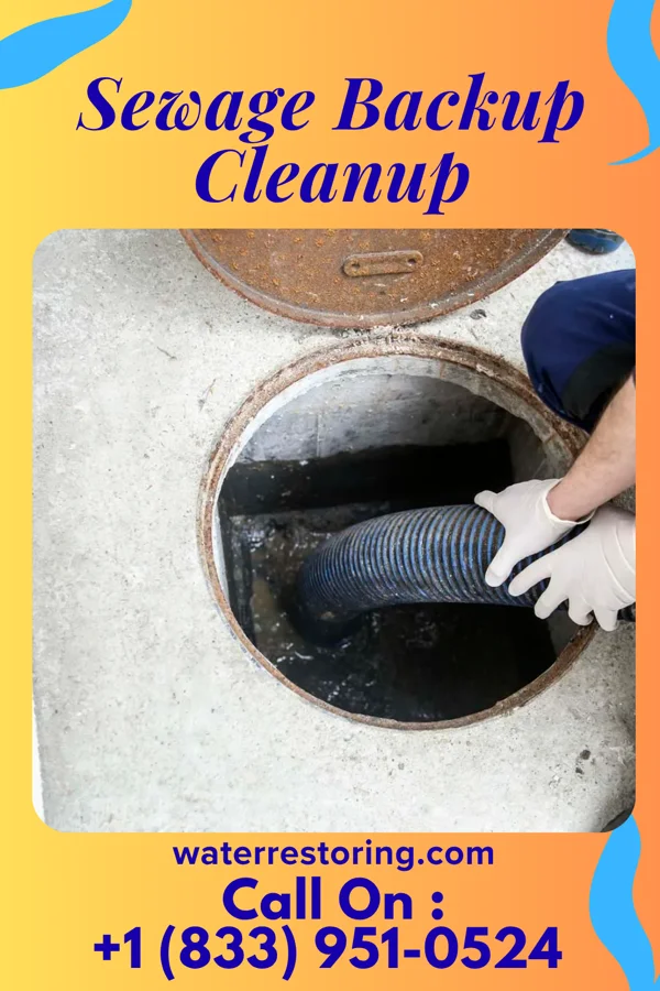 Sewage Backup Cleanup in Bunker Hill, OR
